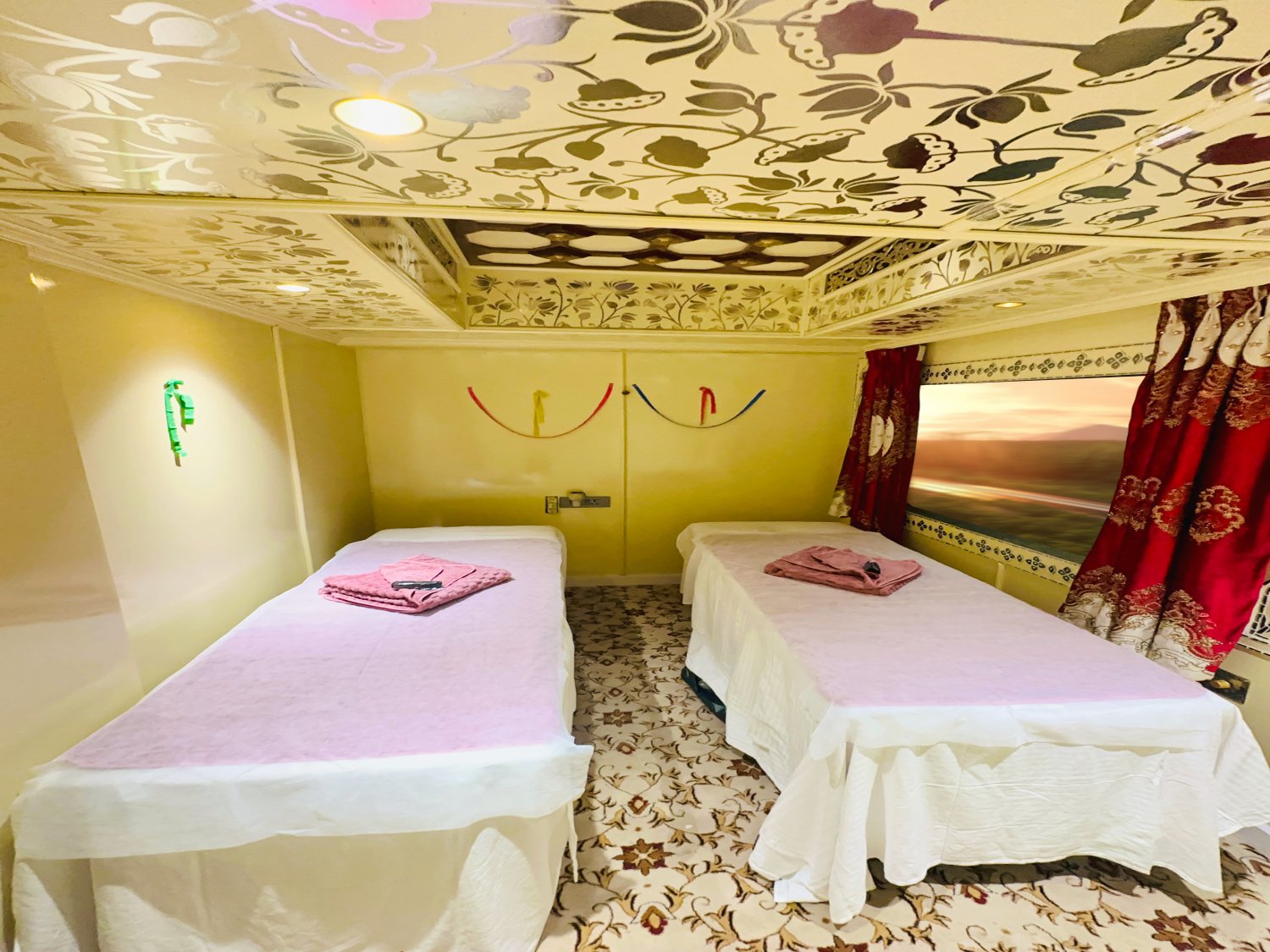 Palace on Wheels Guest Experience